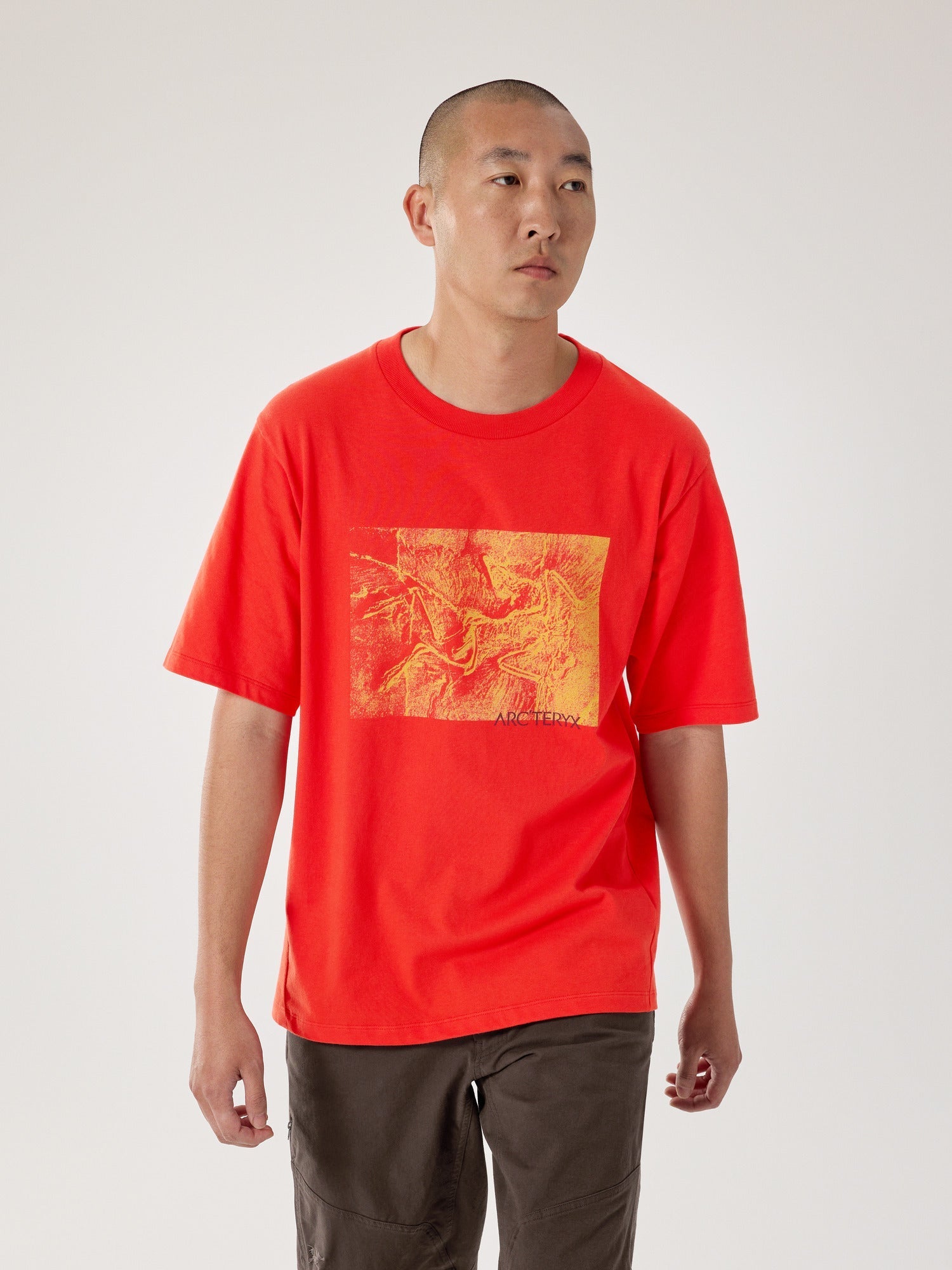 Kragg Cotton Lithographica - Dynasty
