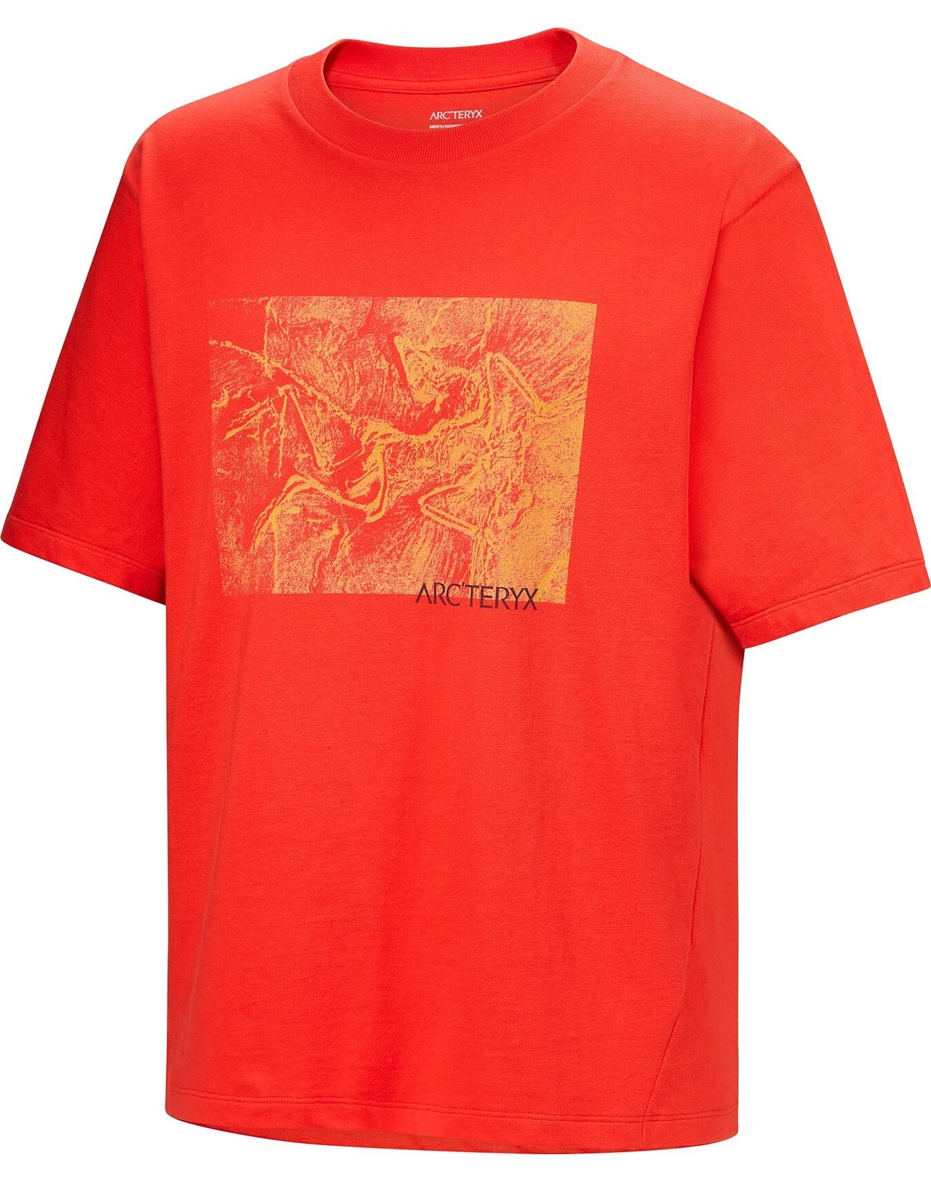 Kragg Cotton Lithographica - Dynasty