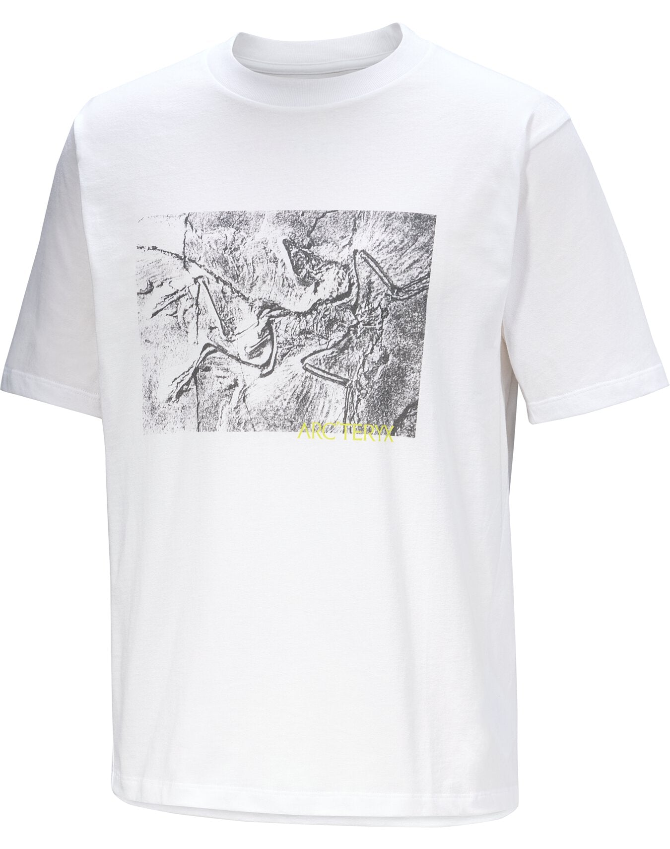 Kragg Cotton Lithographica - White Light