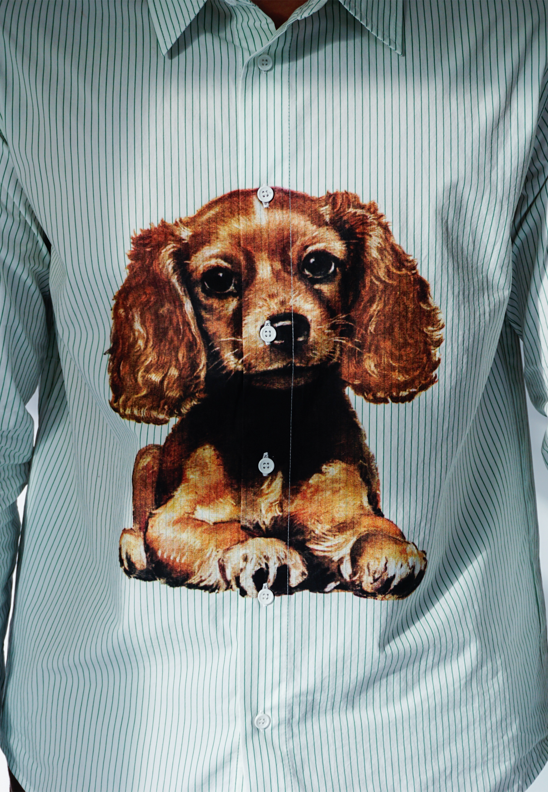 Puppy Shirt - Green/Cream Stripe