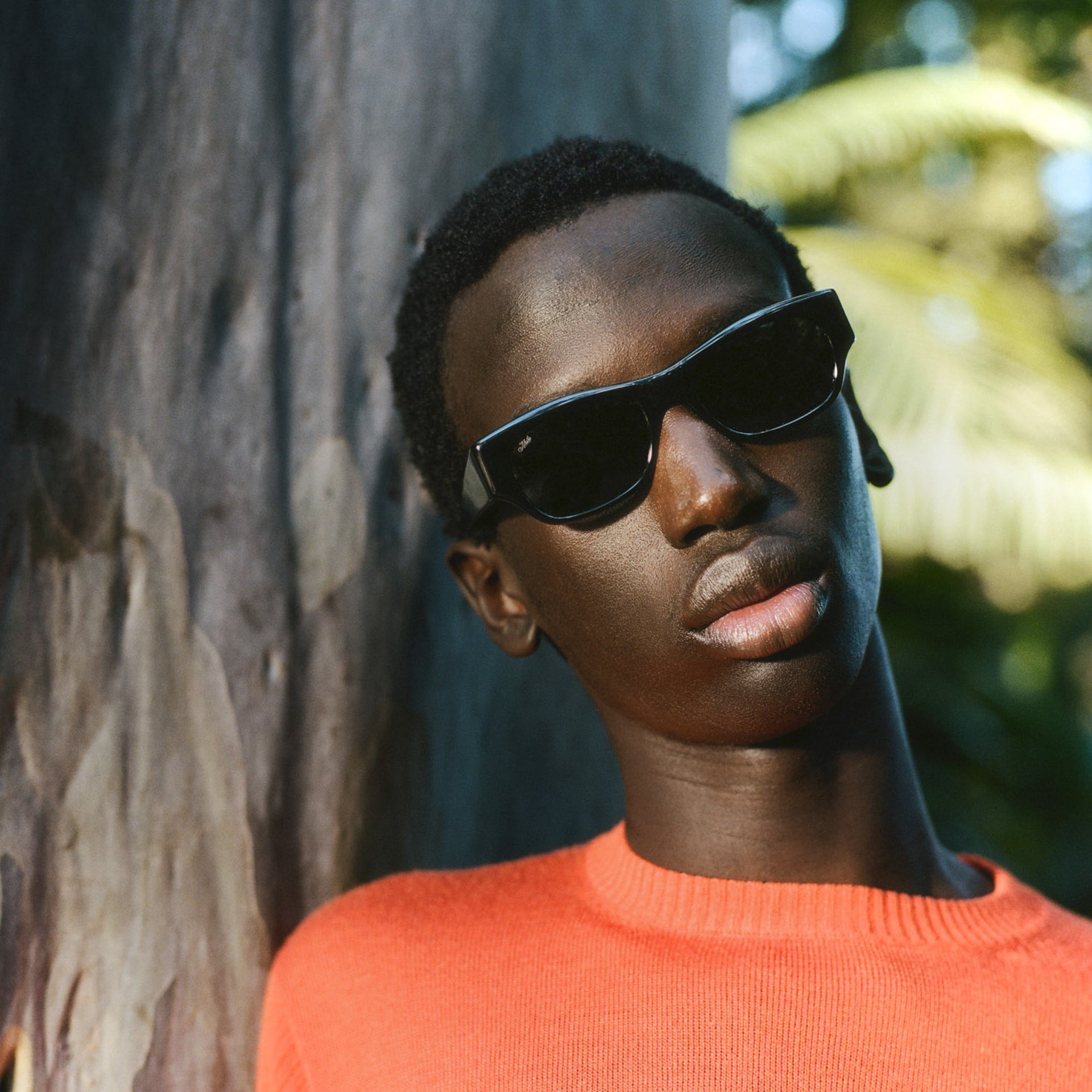 Vega Sunglasses - Black