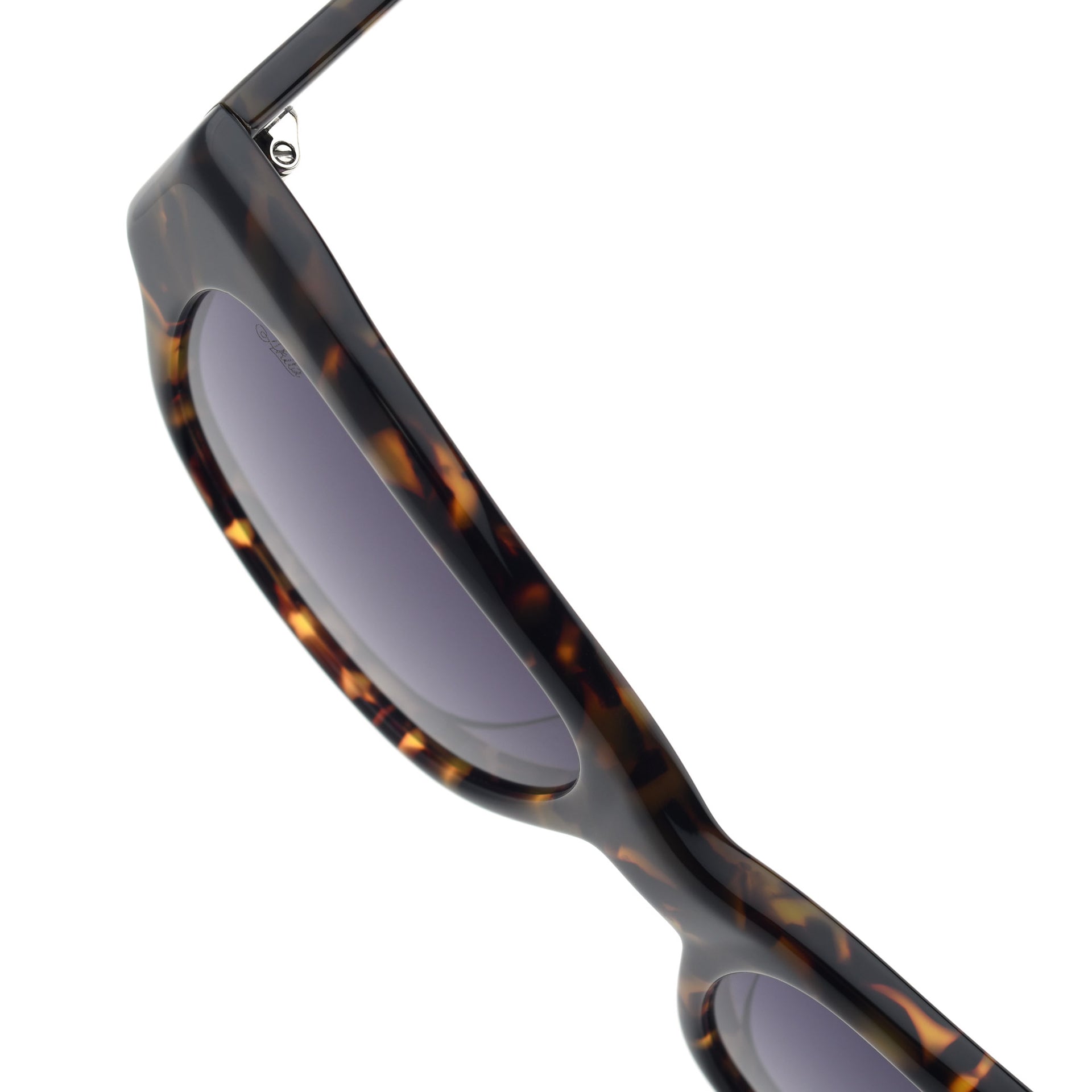 Vega Sunglasses - Tortoise/Purple Gradient