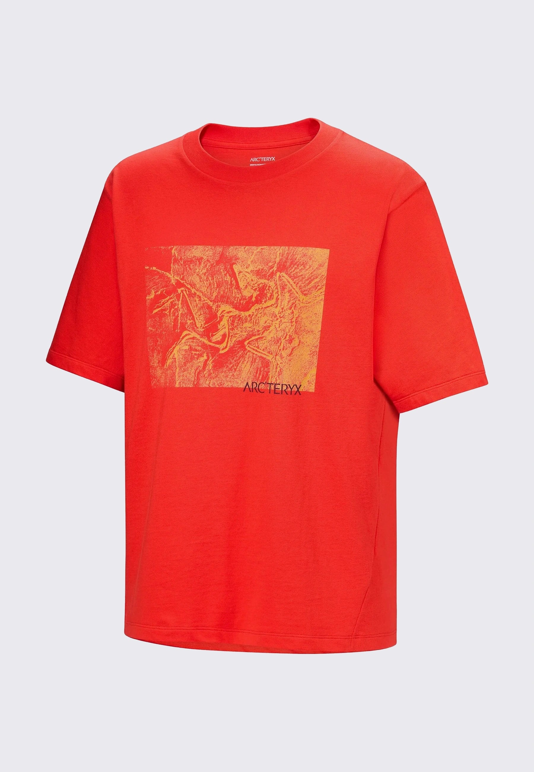 Kragg Cotton Lithographica - Dynasty