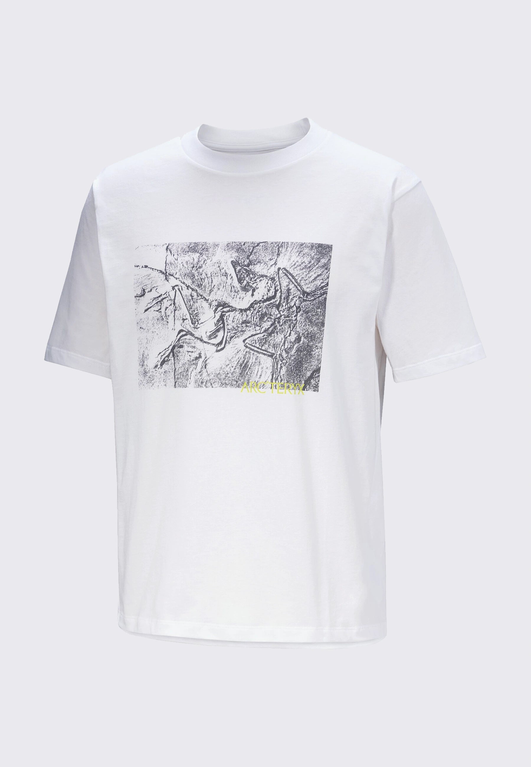Kragg Cotton Lithographica - White Light