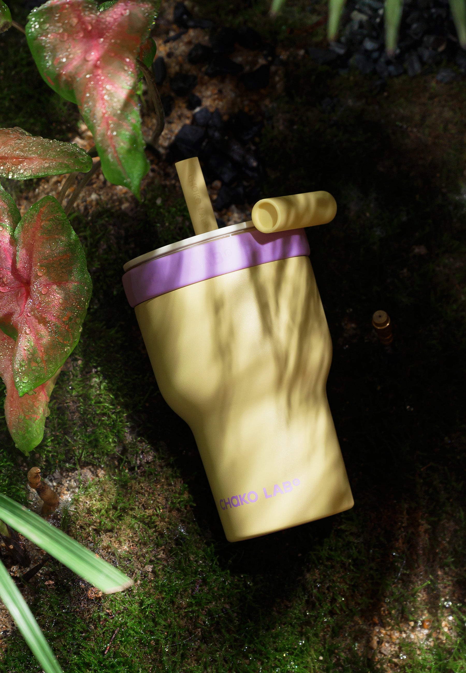 Dual Layer Tumbler - Yellow/Purple