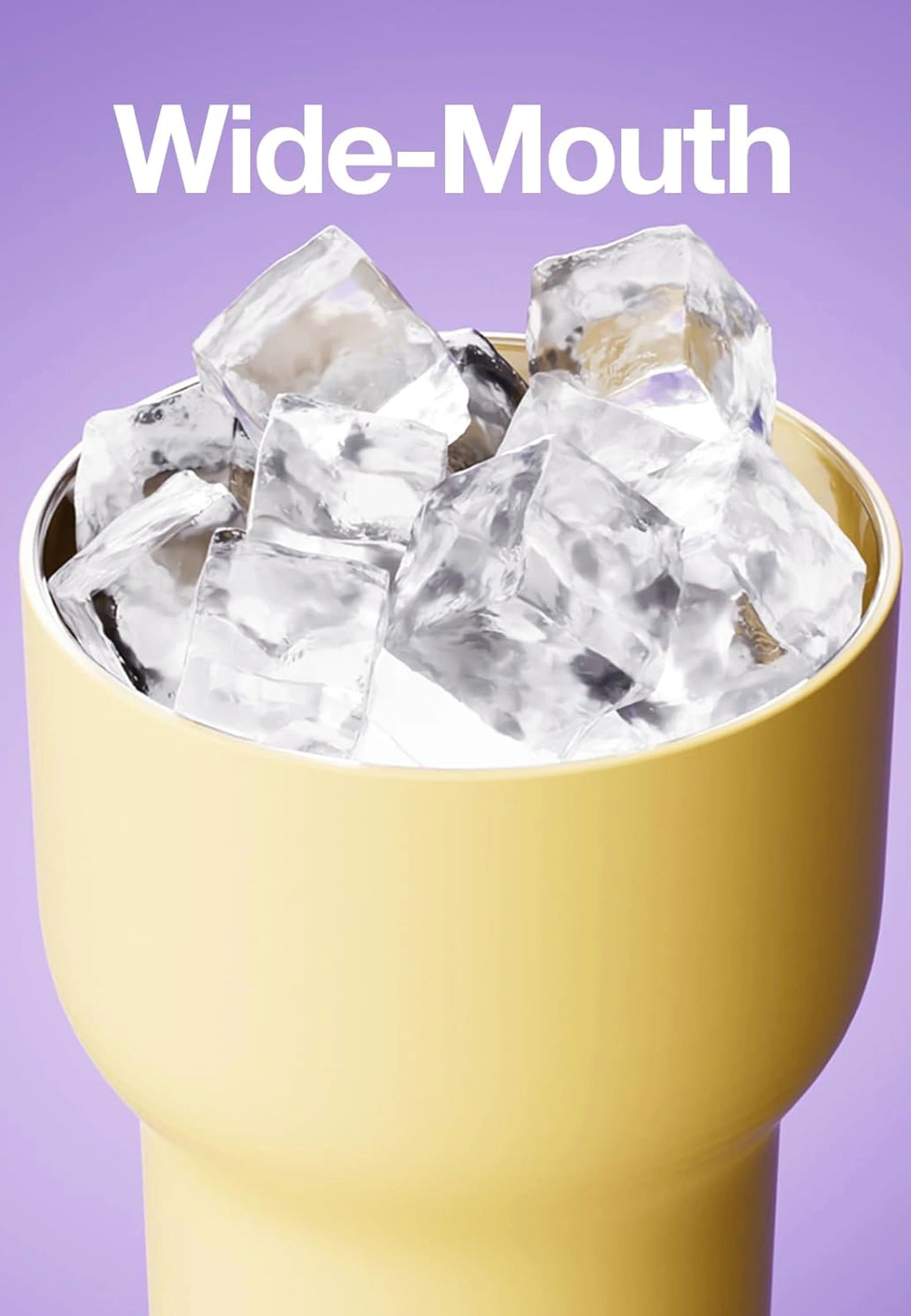 Dual Layer Tumbler - Yellow/Purple