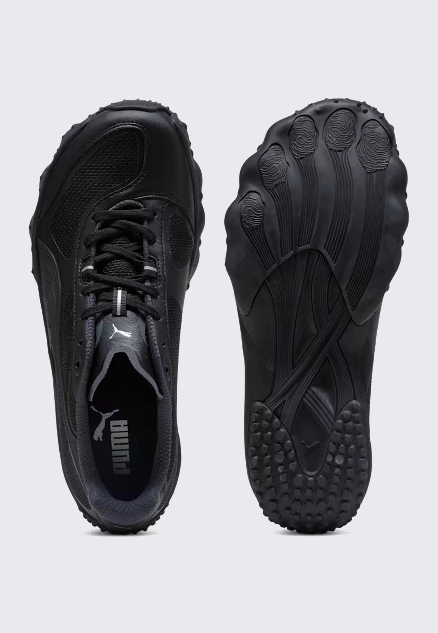 Achillium - Shadow Gray/Puma Black