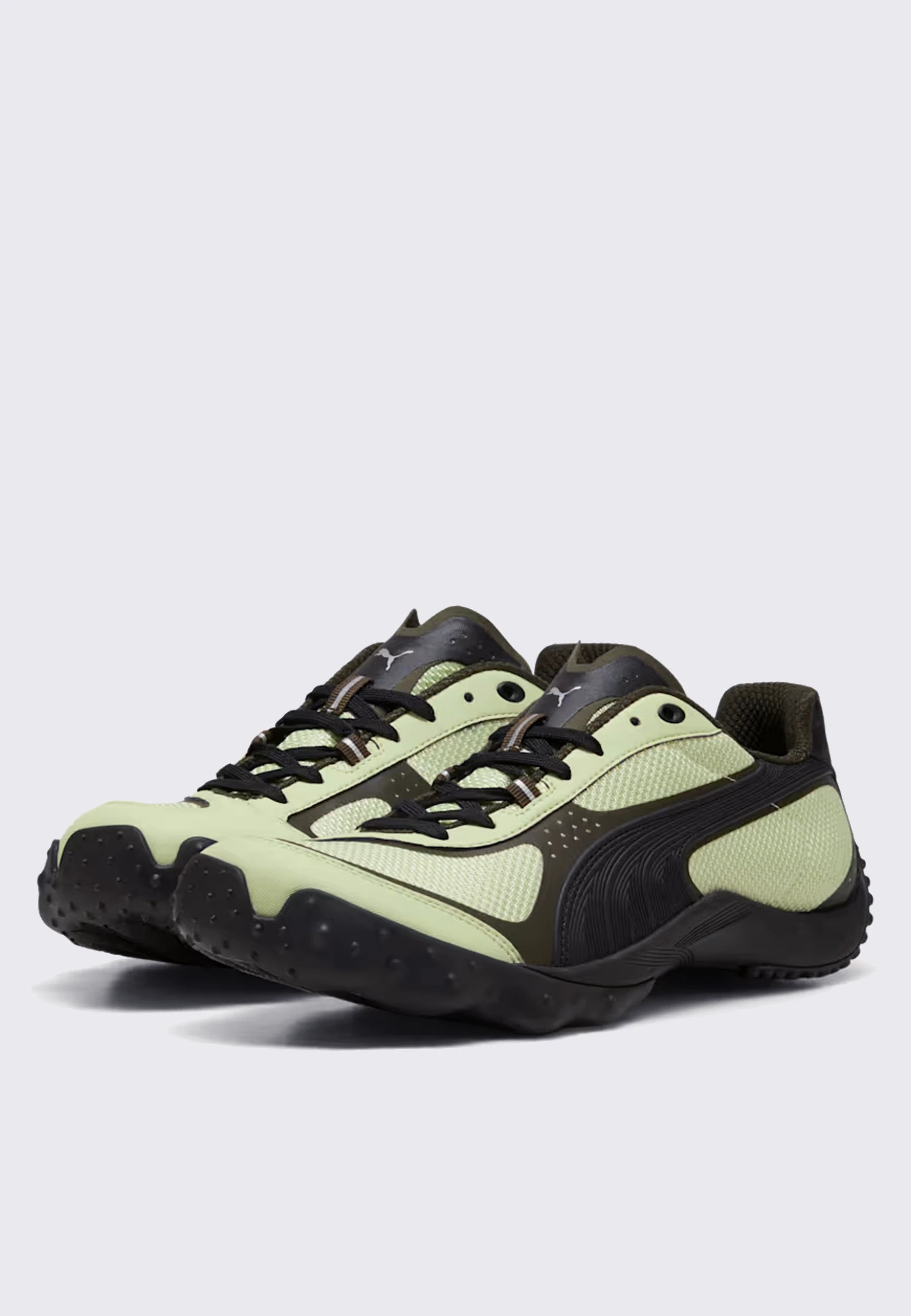 Achillium - Pistachio/Deep Olive