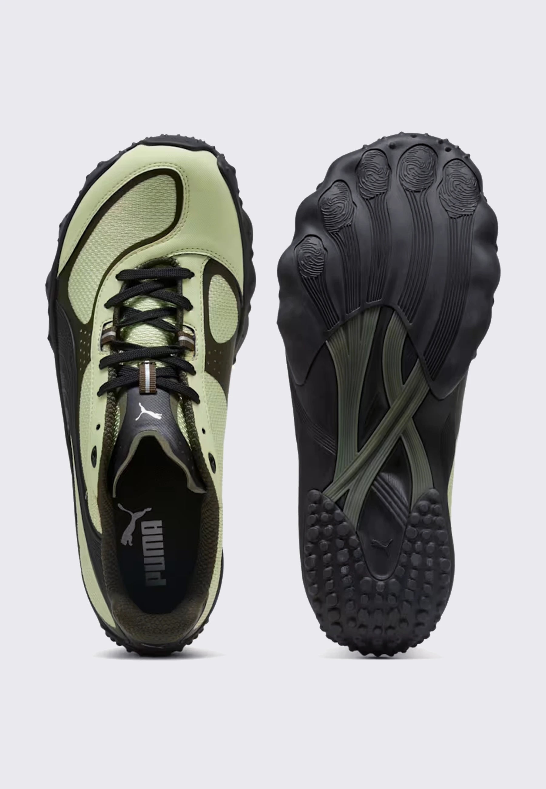 Achillium - Pistachio/Deep Olive