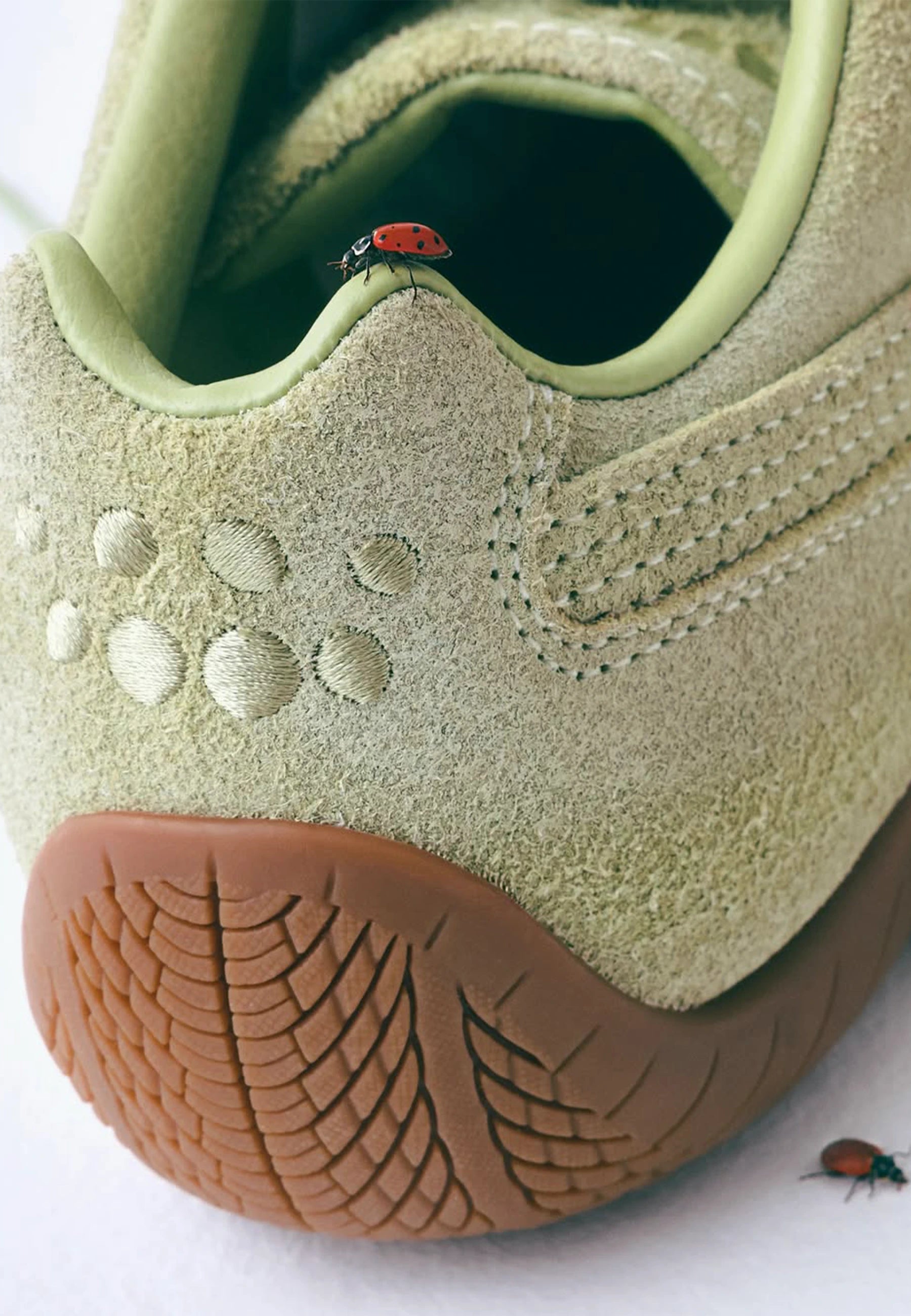 Speedcat Washed x Danielle Cathari - Pistachio