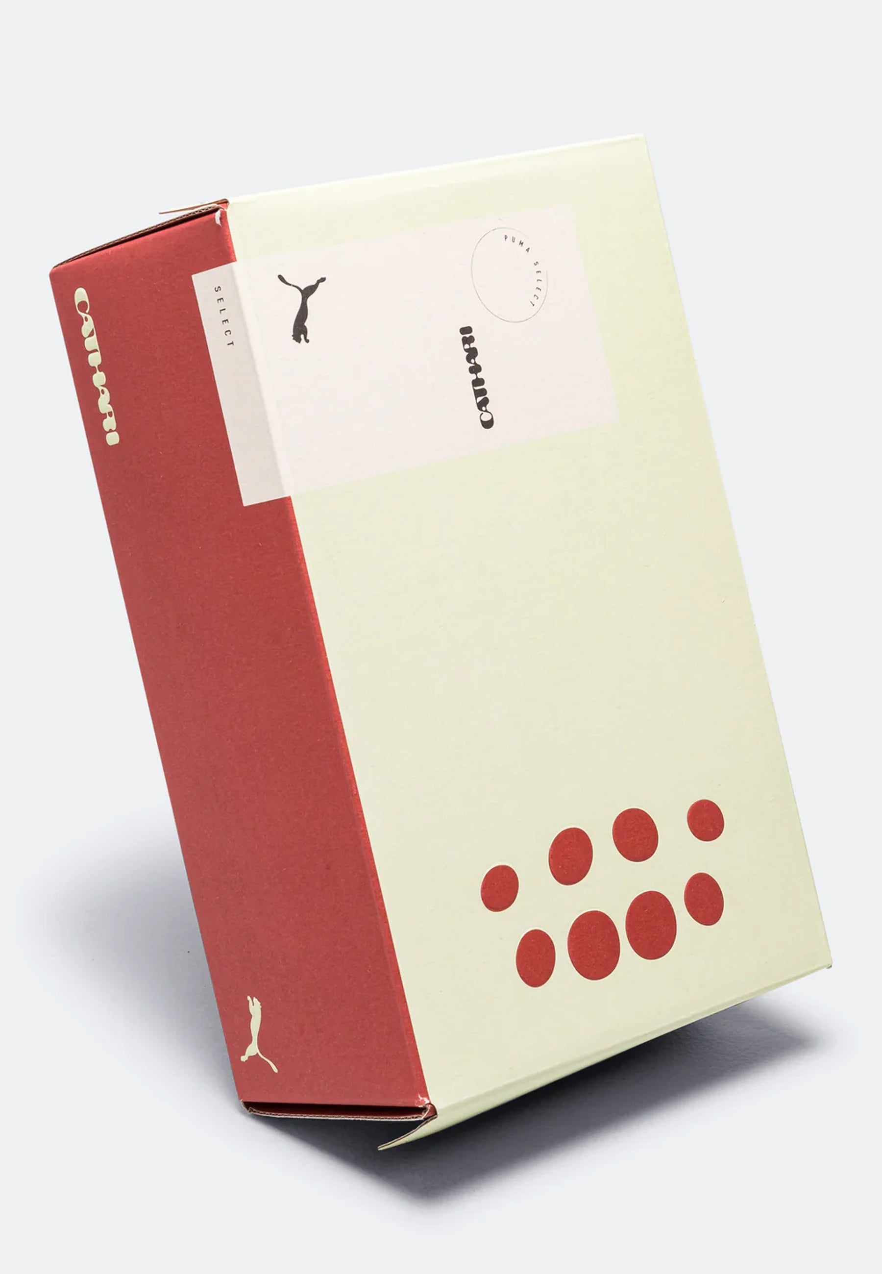 Speedcat Washed x Danielle Cathari - Pistachio