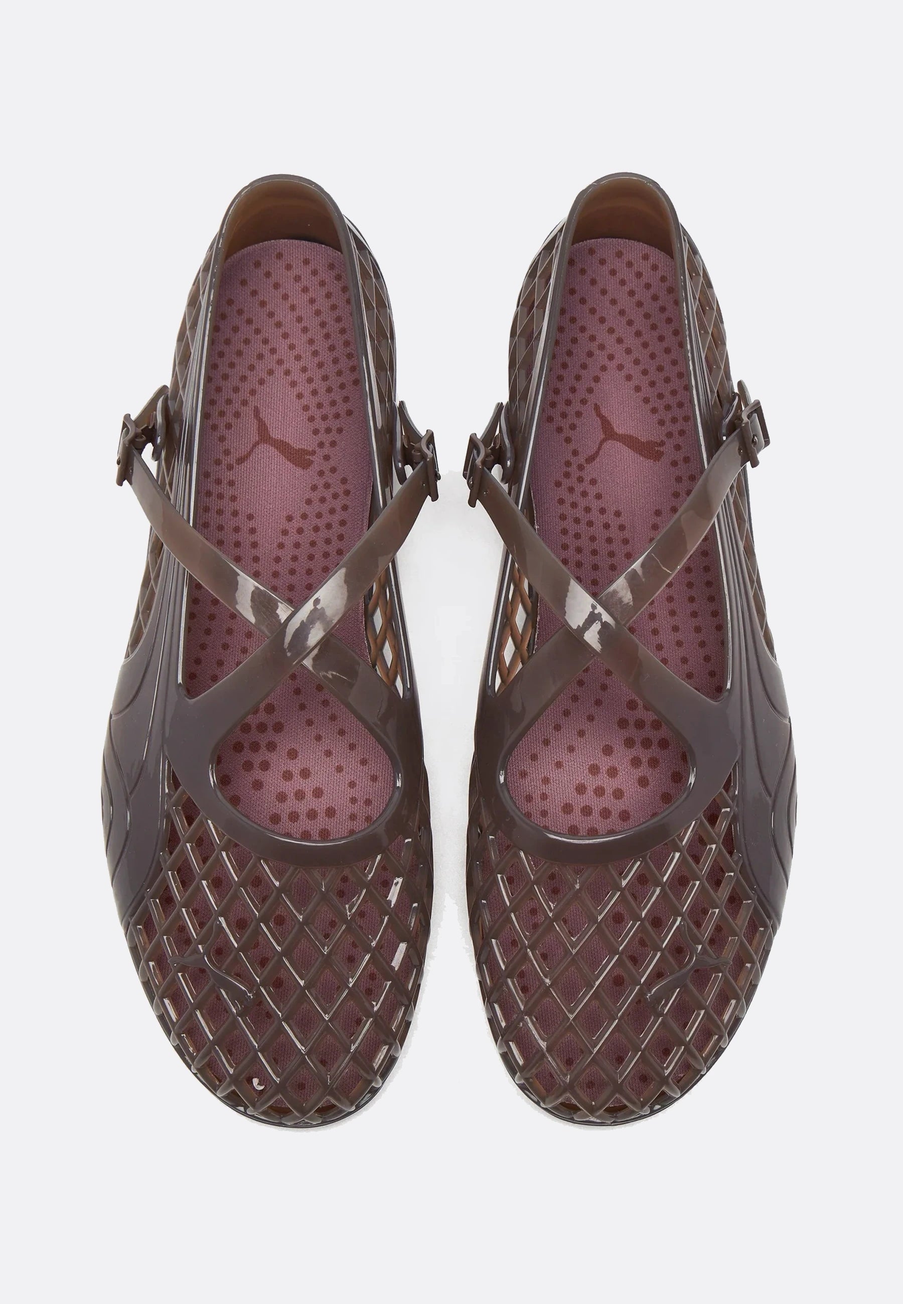 Women's Speedcat Ballet Jelly - Dark Clove/Chestnut Brown