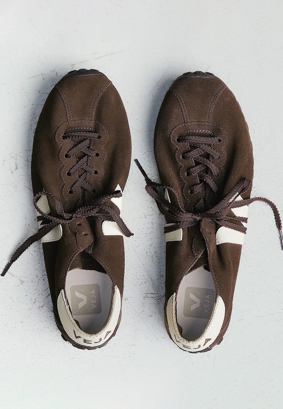 Cateyes Suede -  Eagle/Cashew