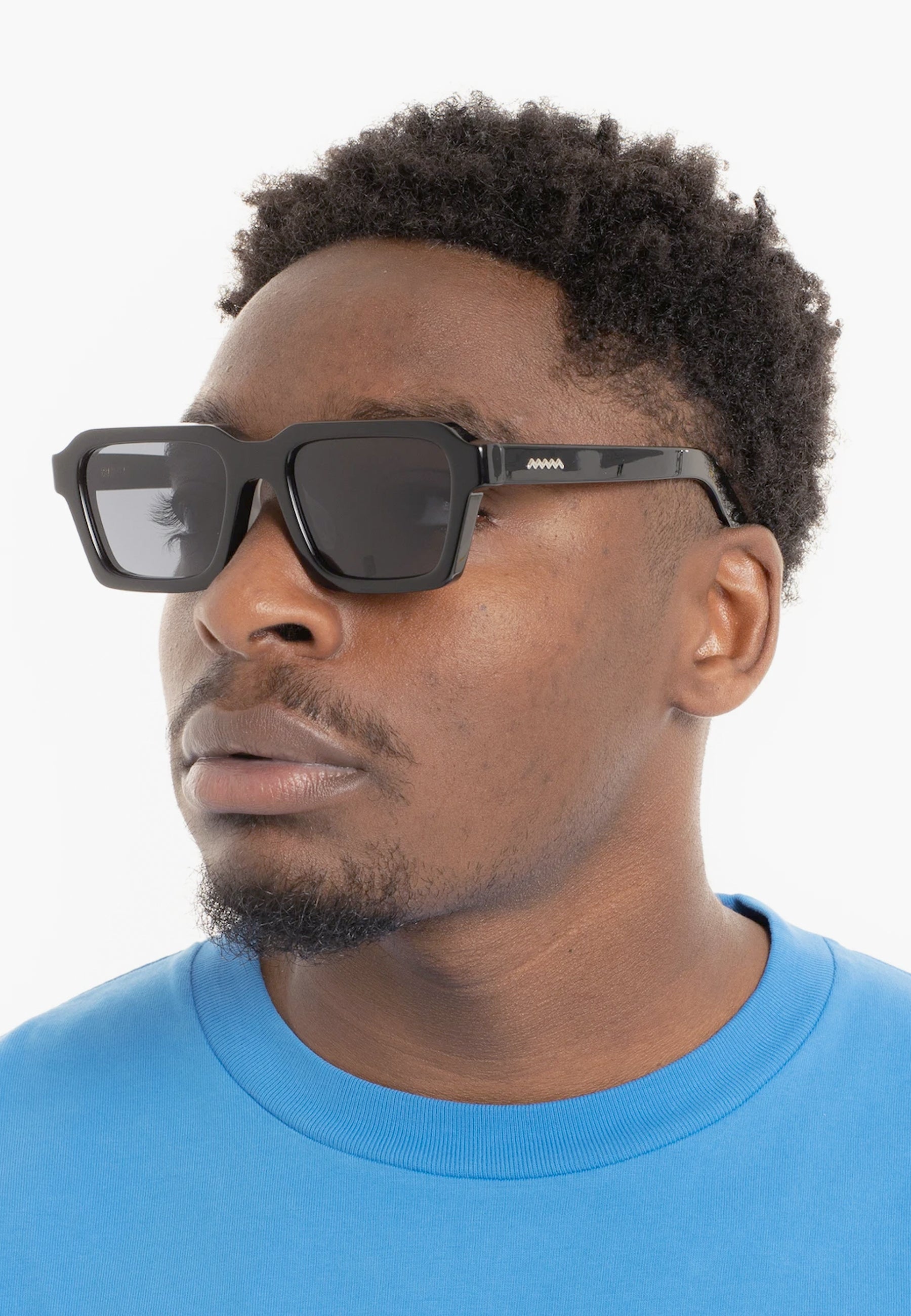 Staunton Sunglasses - black/black