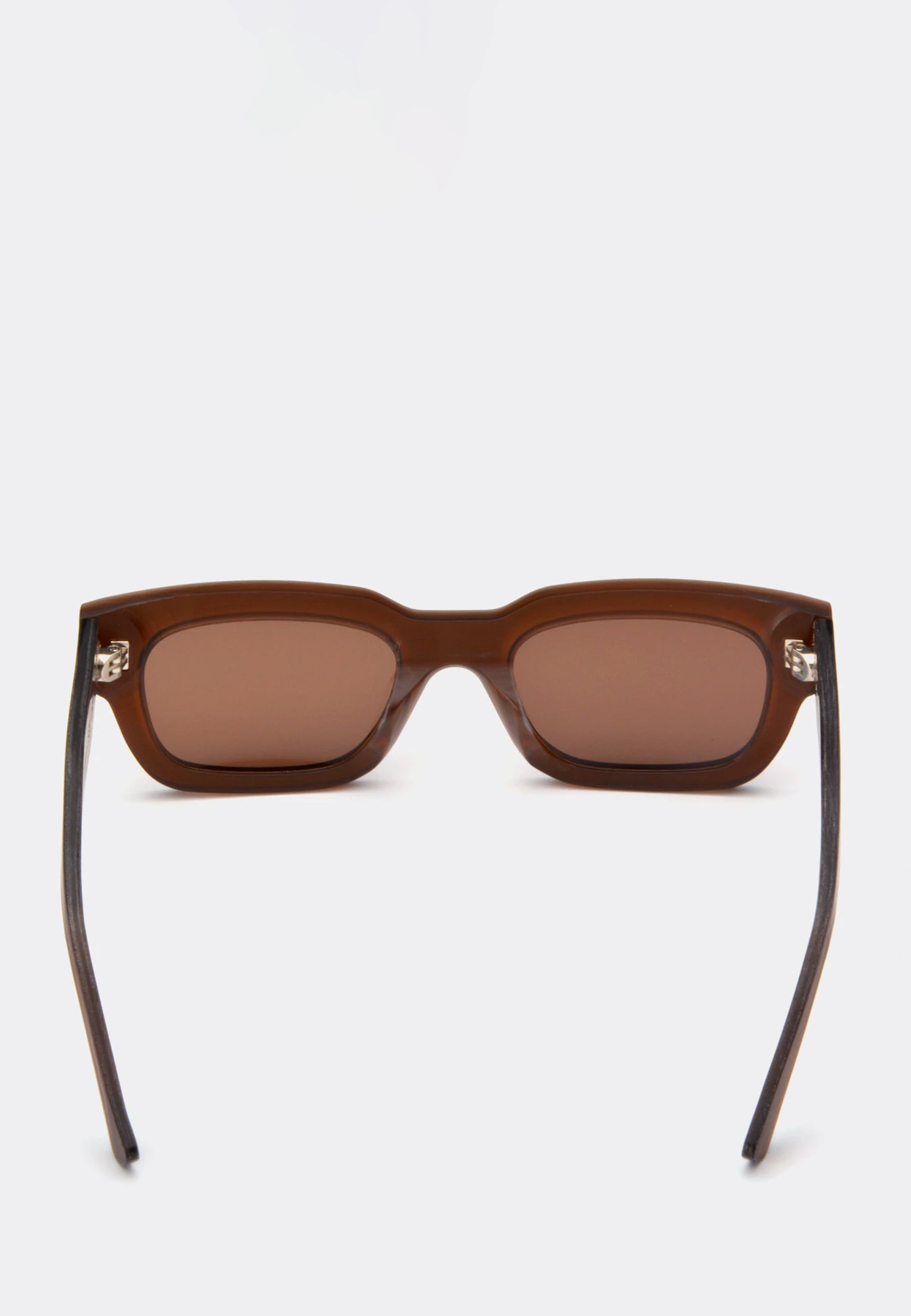 Zed Raw Sunglasses - brown/brown