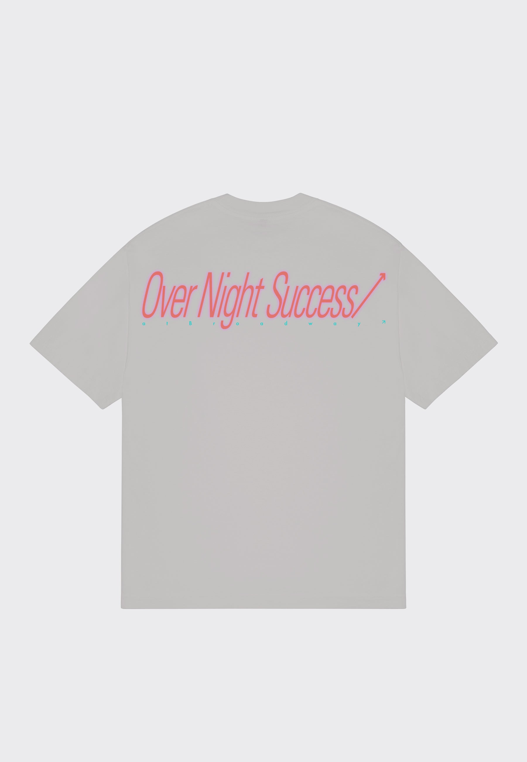 Shintojo T-Shirt - Cement